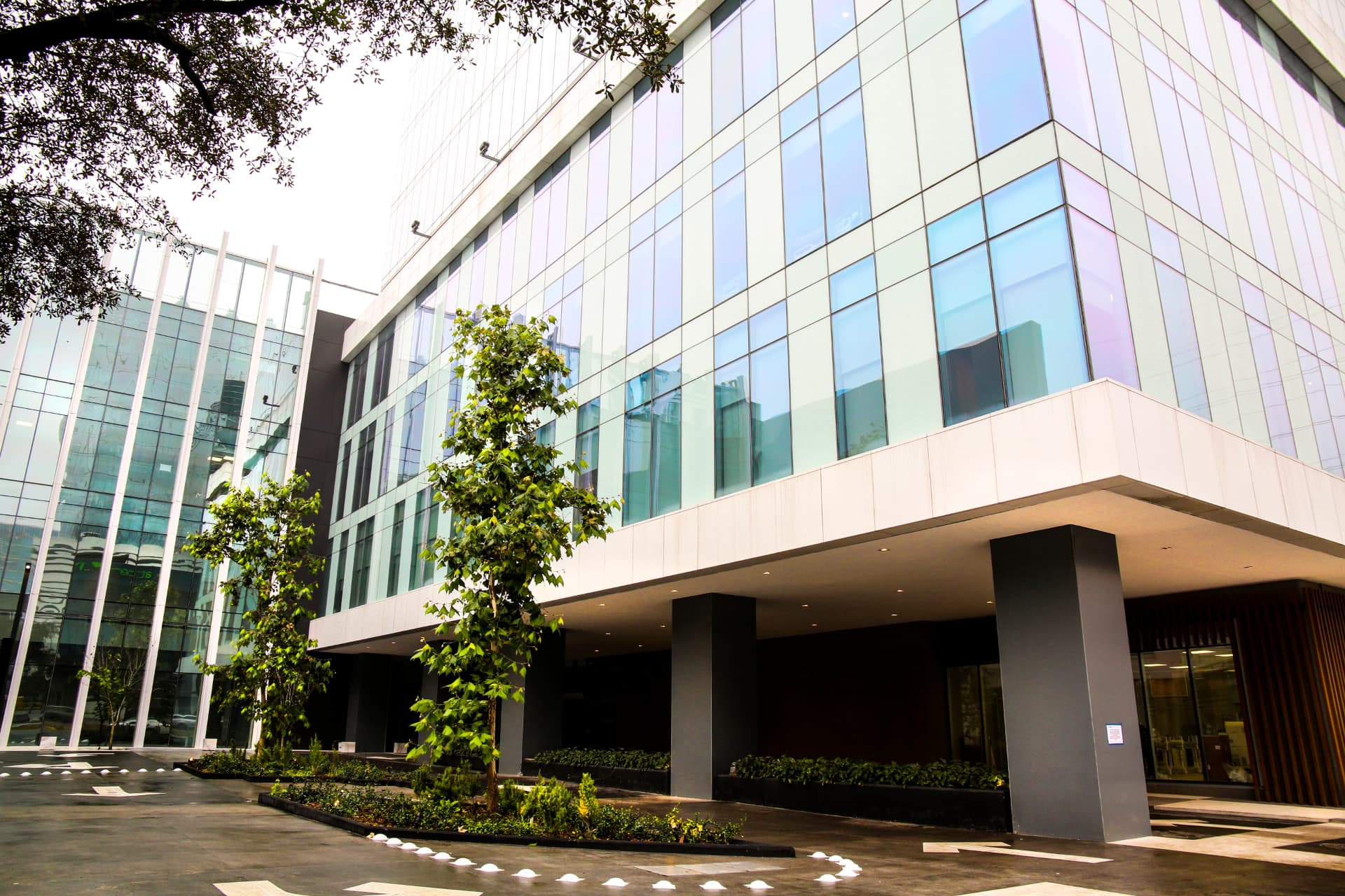 Corporativo